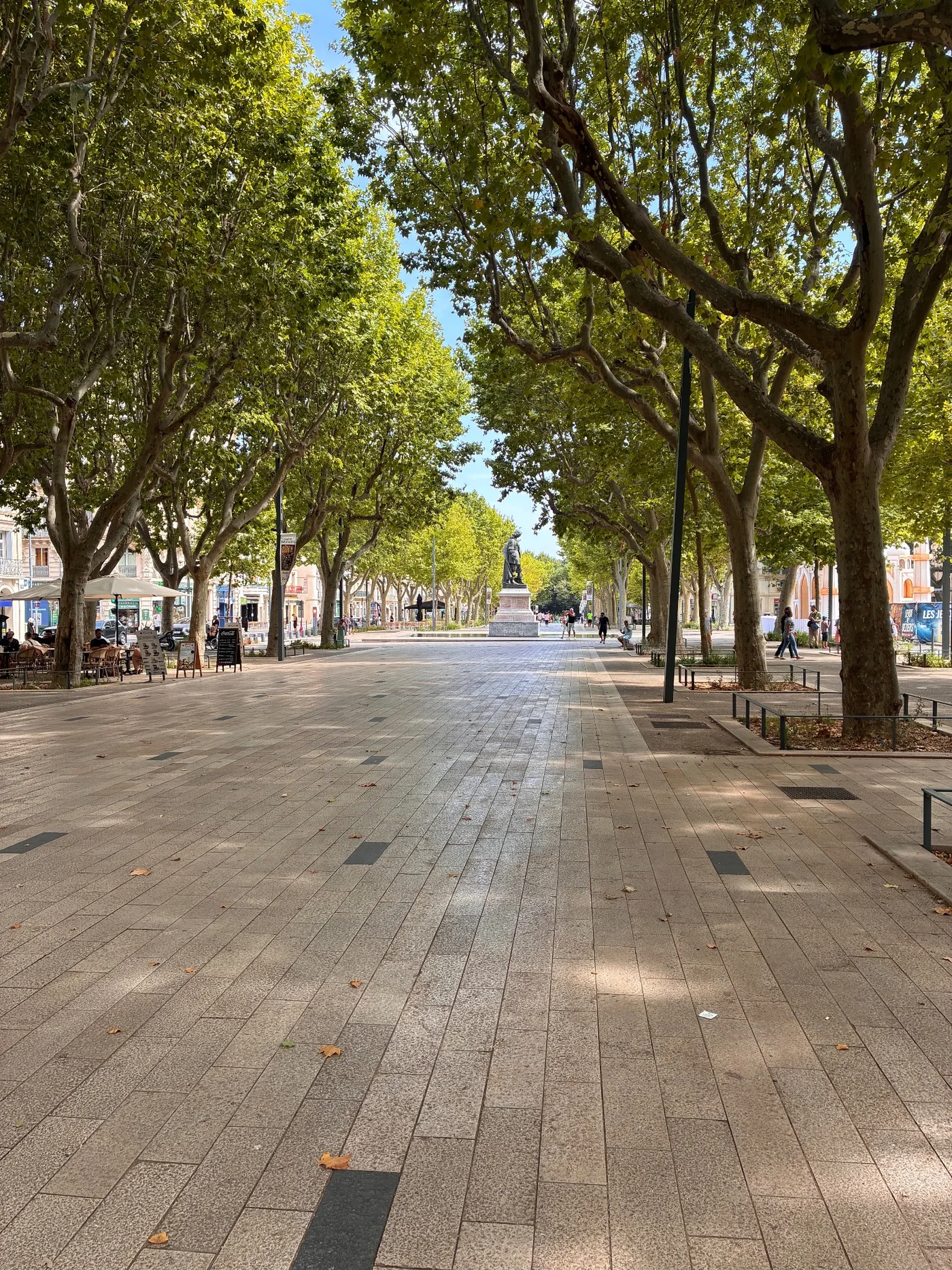 Allées arborées à Béziers